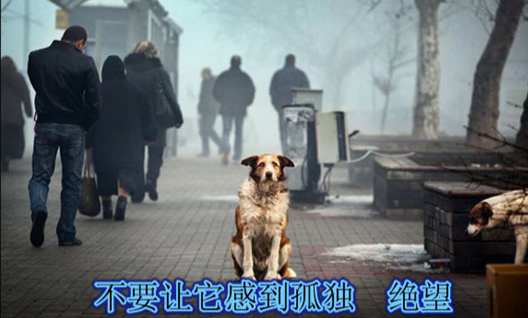 铜川爱影圈微博微信转发案例